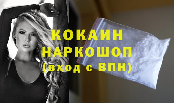 стаф Аркадак
