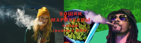стаф Аркадак