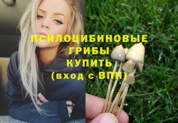 ПСИЛОЦИБИНОВЫЕ ГРИБЫ Арсеньев