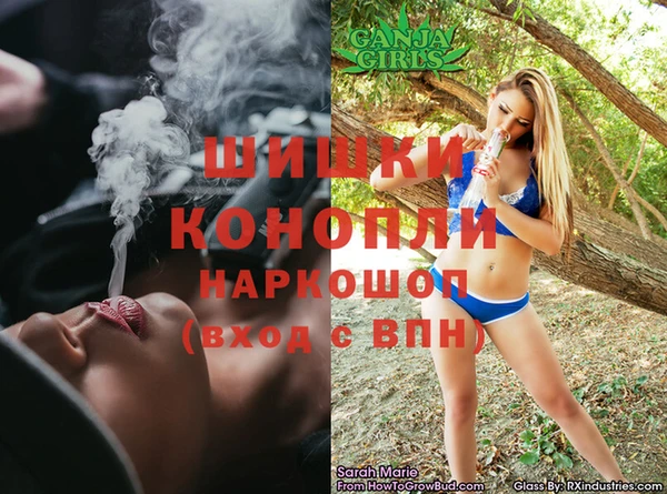 ПСИЛОЦИБИНОВЫЕ ГРИБЫ Арсеньев