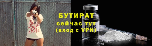 стаф Аркадак