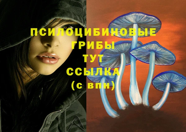 мяу мяу кристалл Армянск
