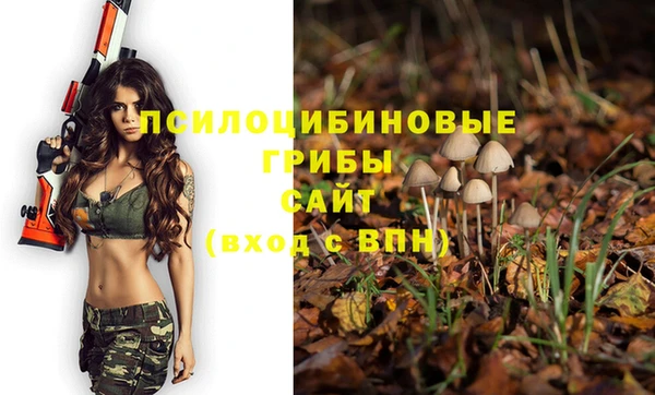 ПСИЛОЦИБИНОВЫЕ ГРИБЫ Арсеньев