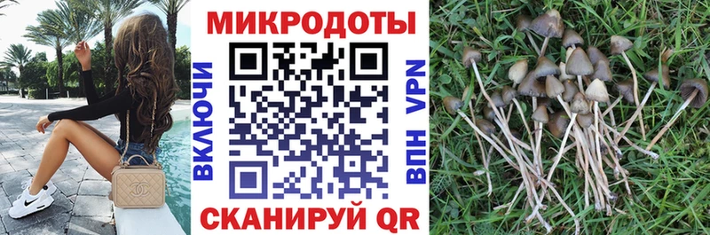 OMG сайт купить цена Серов Псилоцибиновые грибы ЛСД